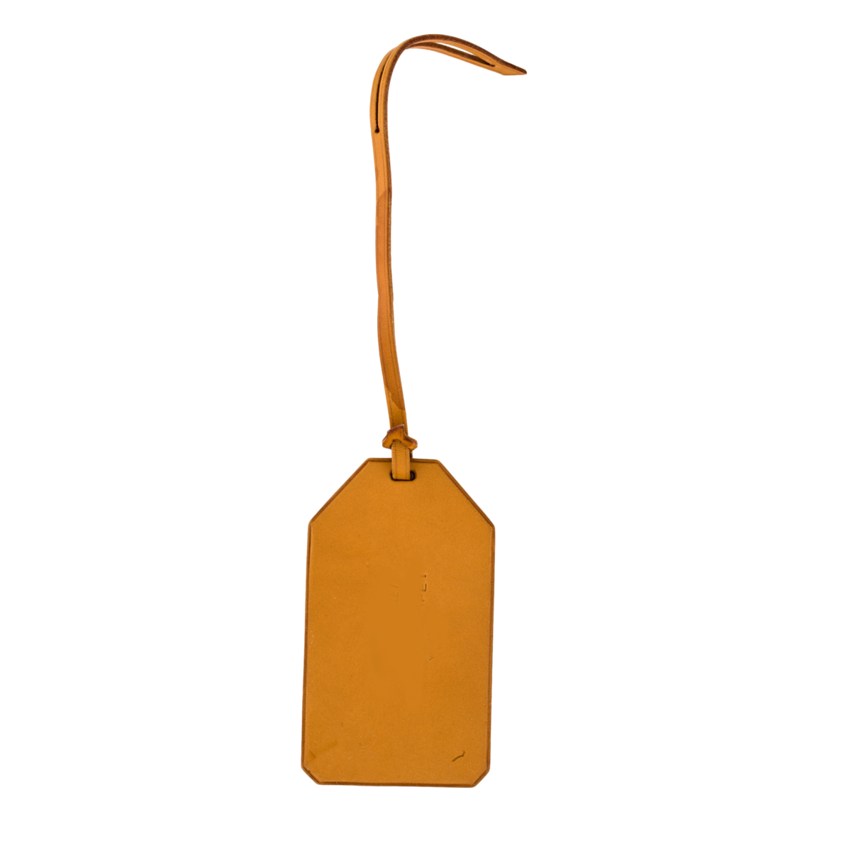 Velaris™ Leather Bag Tag (This Will Match Your Bag Color)